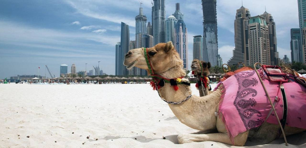 uae