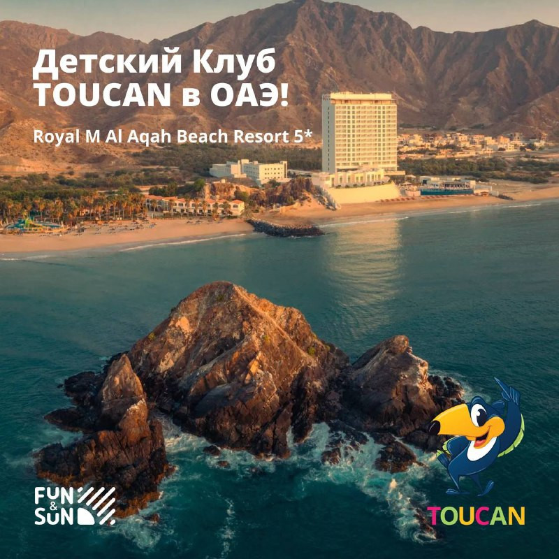 --TOUCAN-